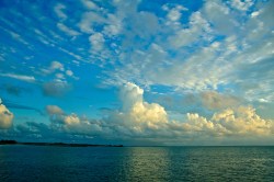 Jack H Thompson - all rights reserved