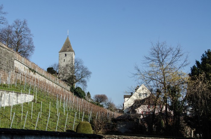 church above vineyard