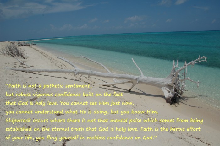 Driftwood by Jack H Thompson