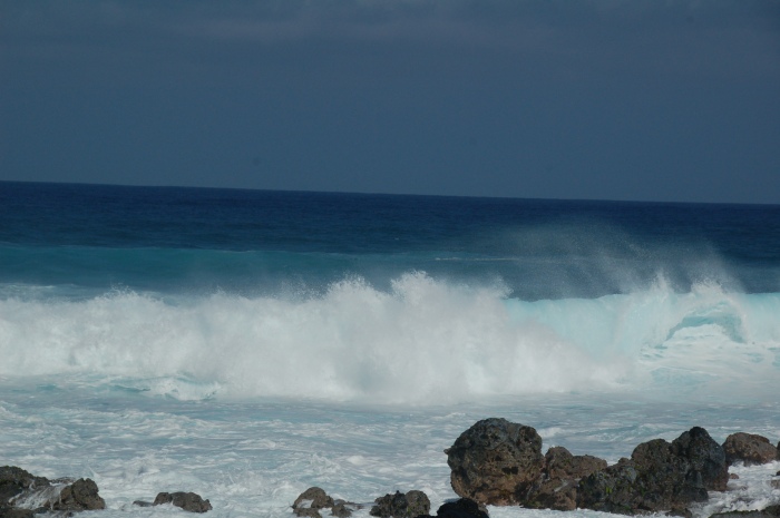 Maui wave
