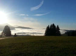 Blessings from Switzerland