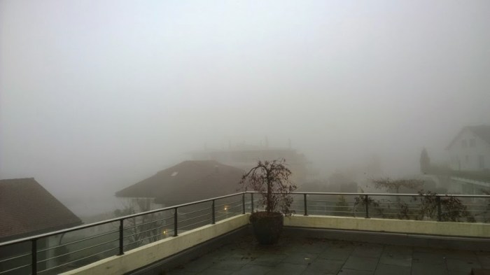 Swiss fog
