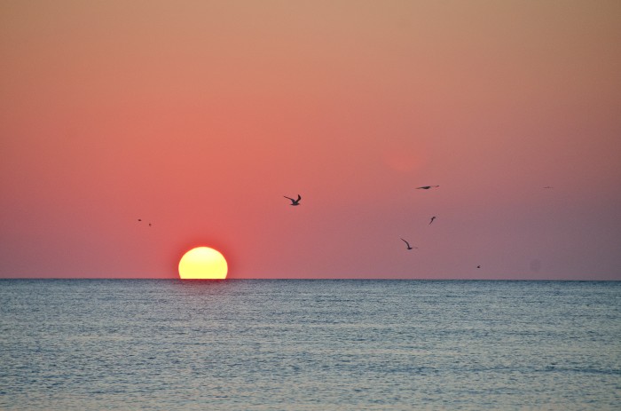 Sunset at Siesta Key, FL on Gulf of Mexico