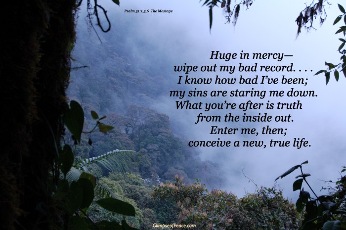 Ps 51 1 3 6 on Cloud Forest-Ecuador