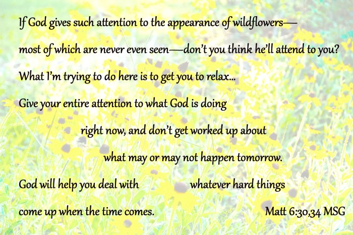 Matt 6:30-34 