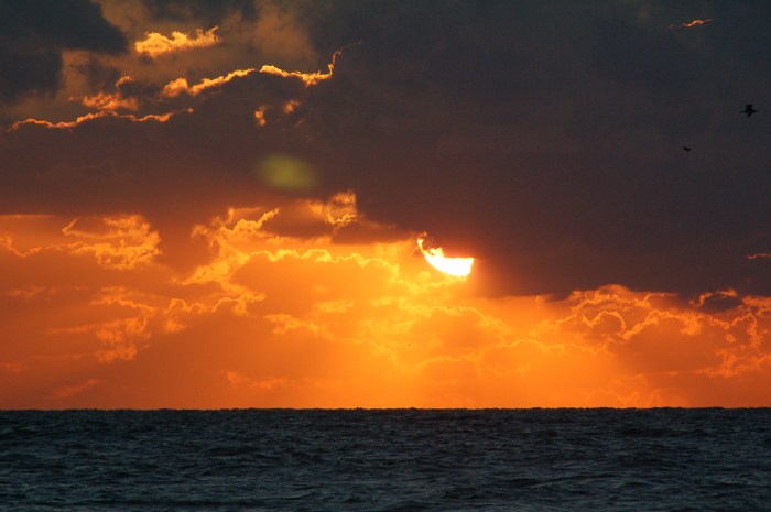 Venice Beach sunlight from a cloud by Jack H Thompson, Jr
